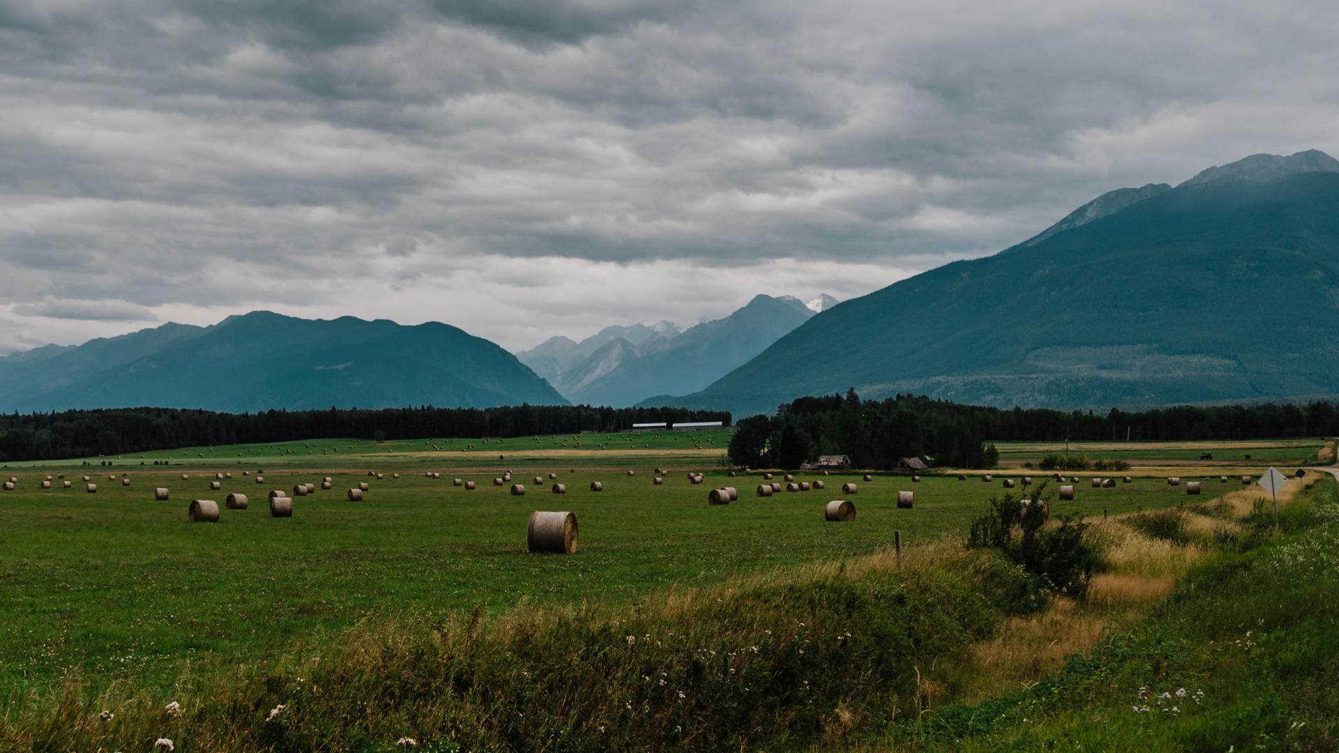a country road beside a field of green grass with mountains