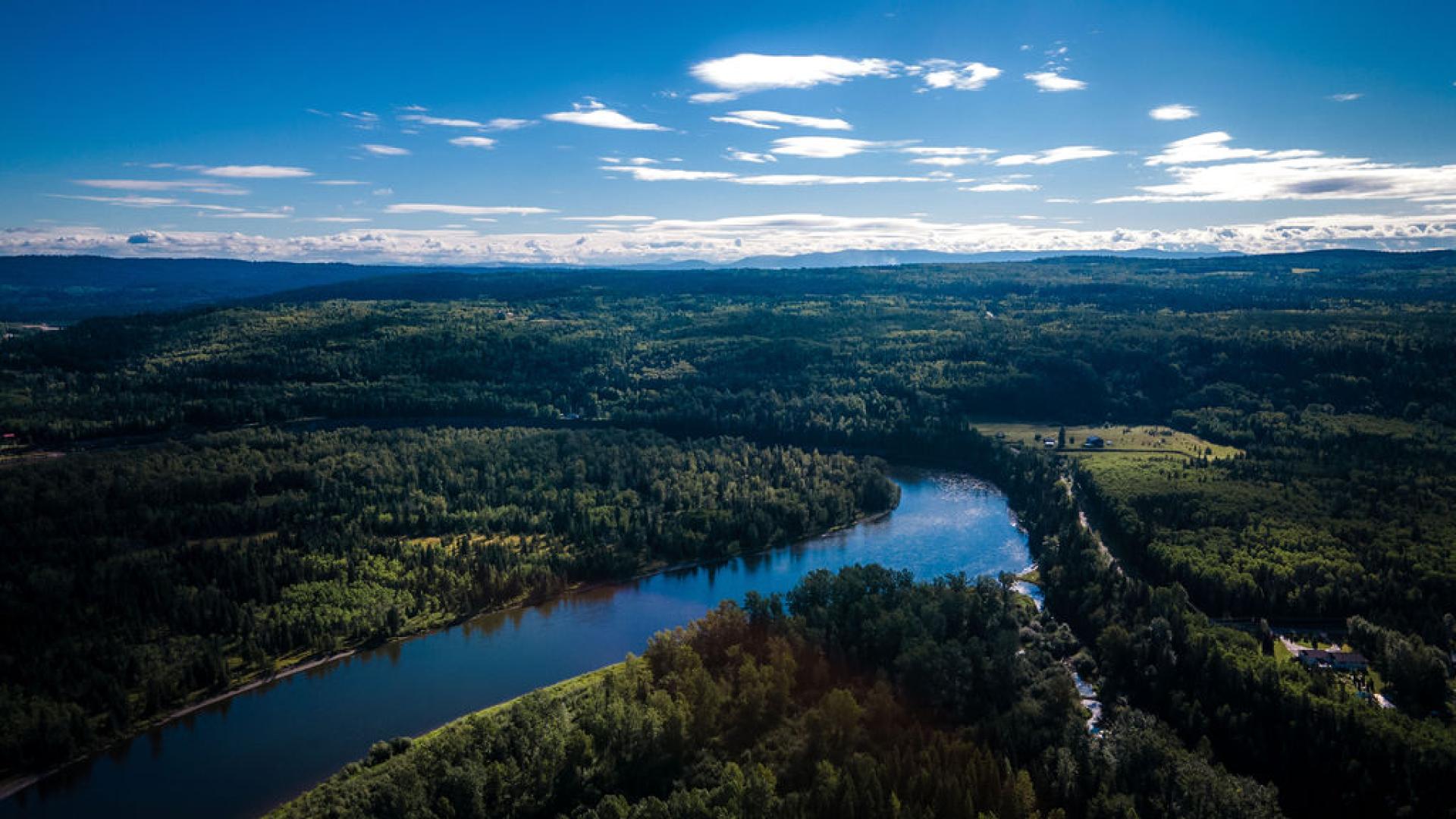 aerial image of river near park
