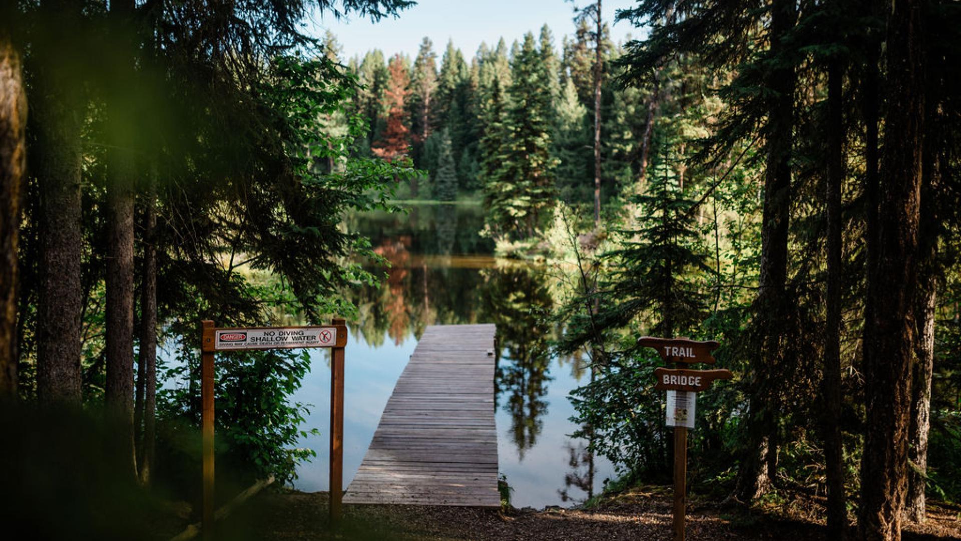 wooden dock leading to a lake surrounded by evergreen trees