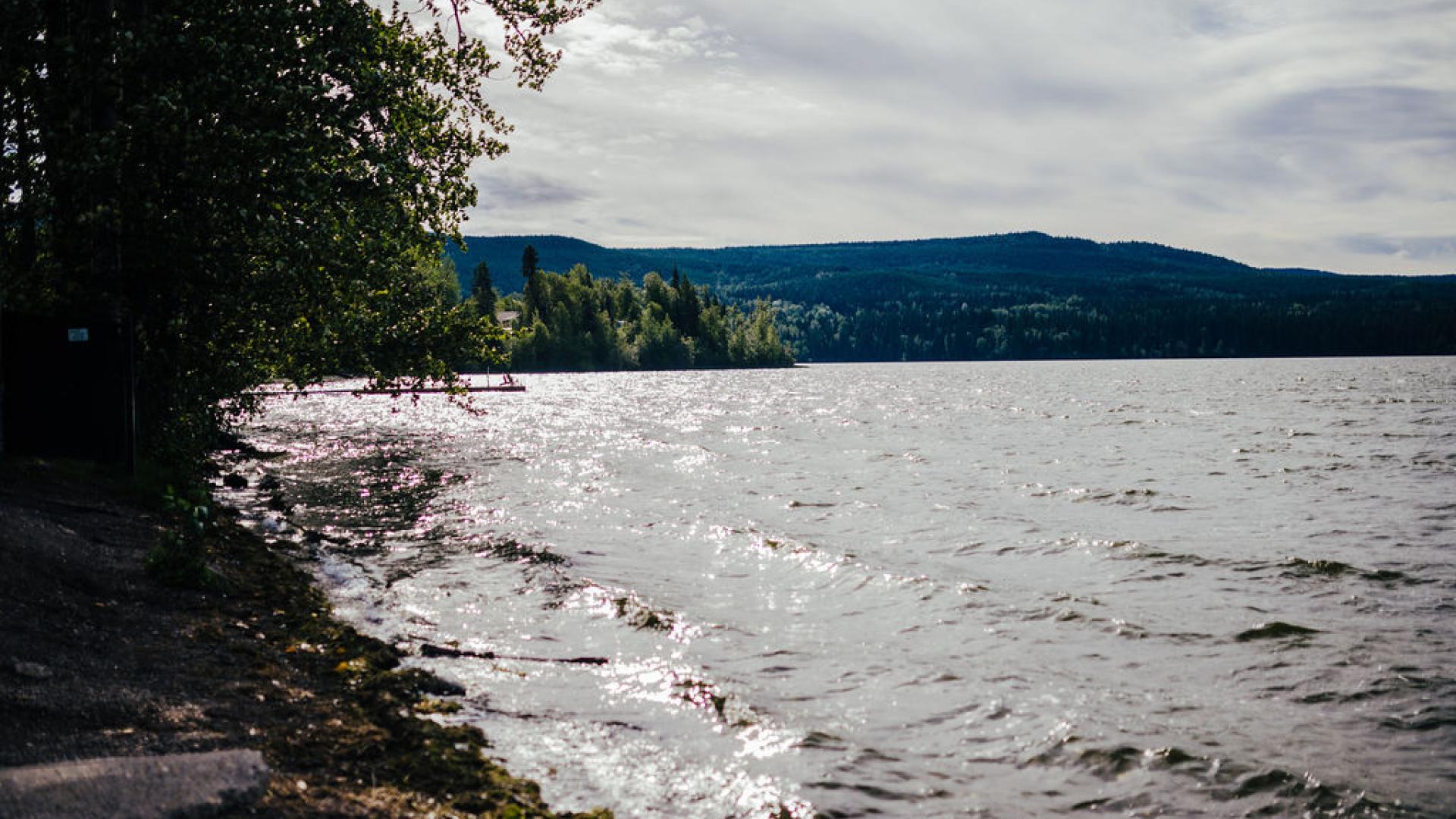 Tabor Lake shoreline