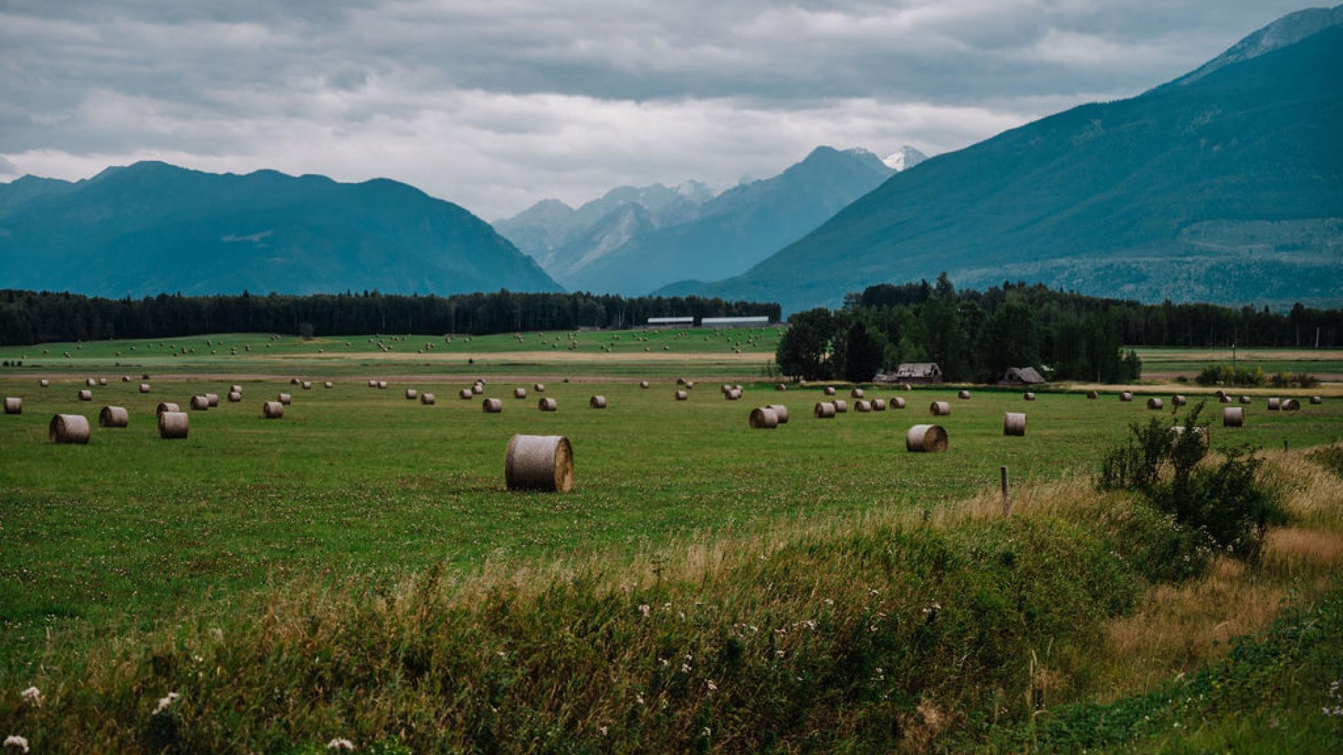 farm field with mountains in background