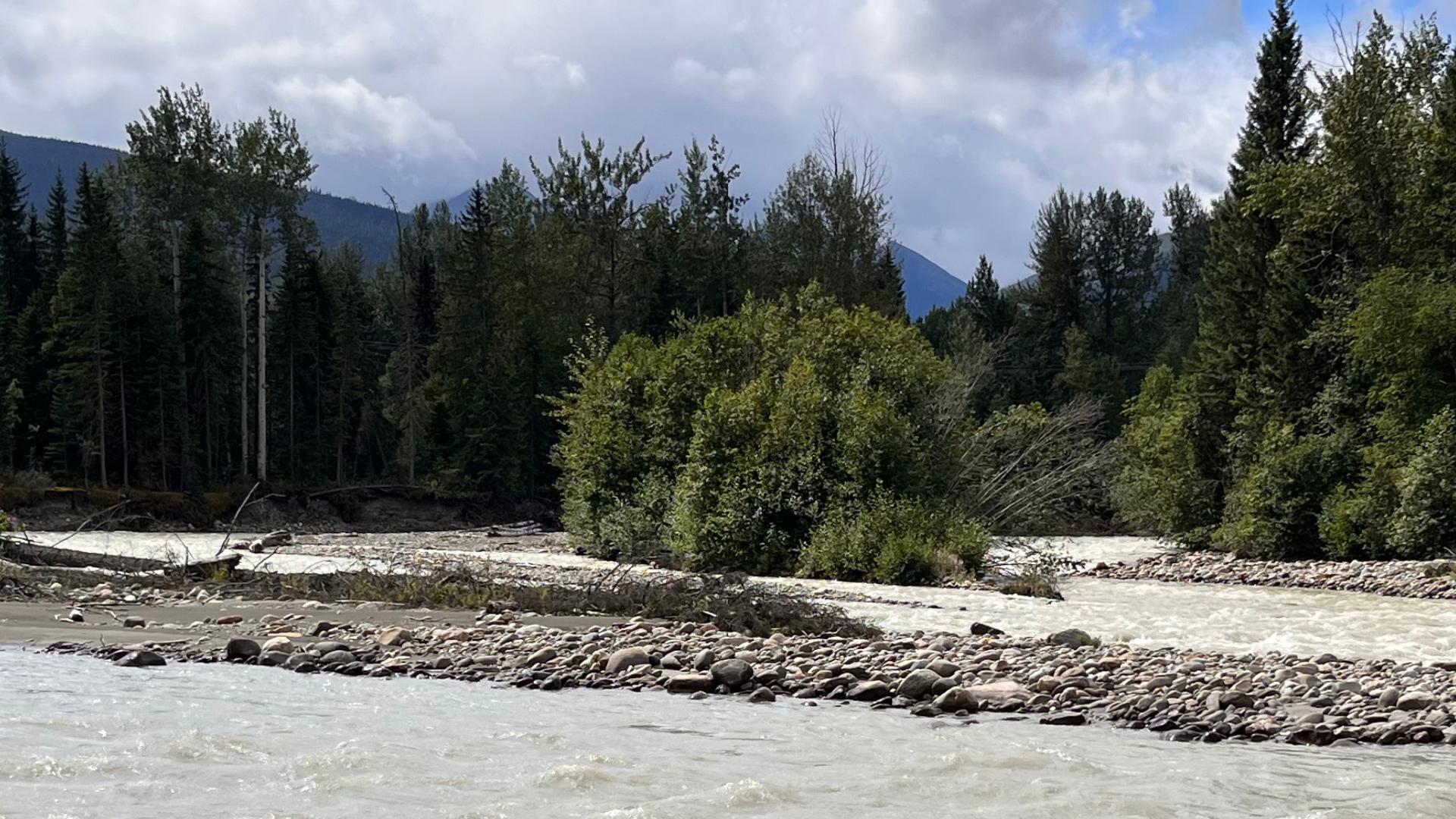 river with rocky banks and evergeen trees