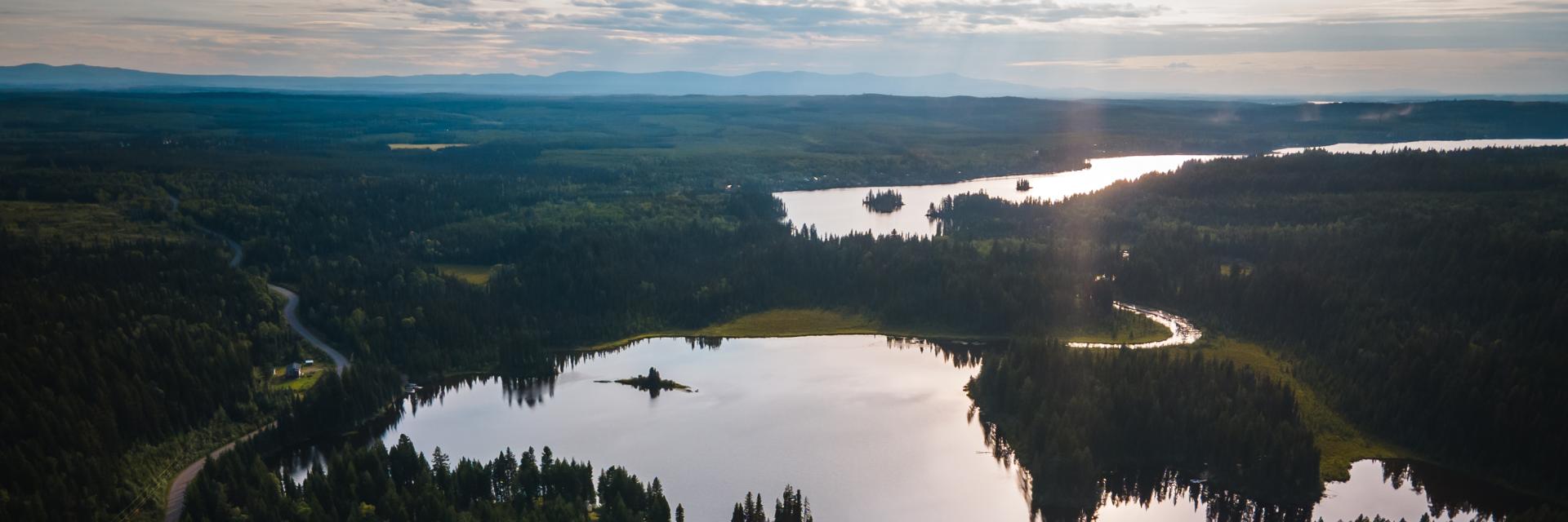 aerial view of a lake surrounded by trees