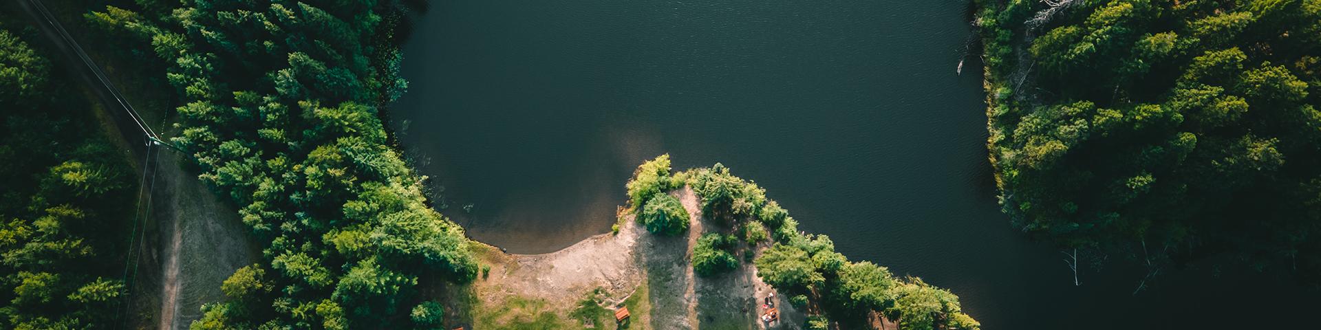 aerial view of a sandy beach on a lake surrounded by evergreen trees