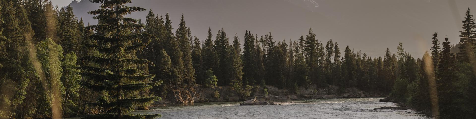 river with trees and mountains in the background